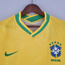 Brasil 2022 - Fan Version