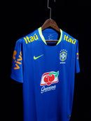 Brasil 2021- Fan Version