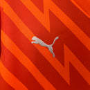 Palmeiras Goalkeeper Shirt 24/25 - Puma Fan Men's